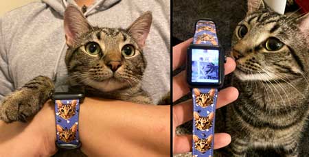 Benutzerdefinierte Haustier-Kunstportrait Apple Watch Band,
