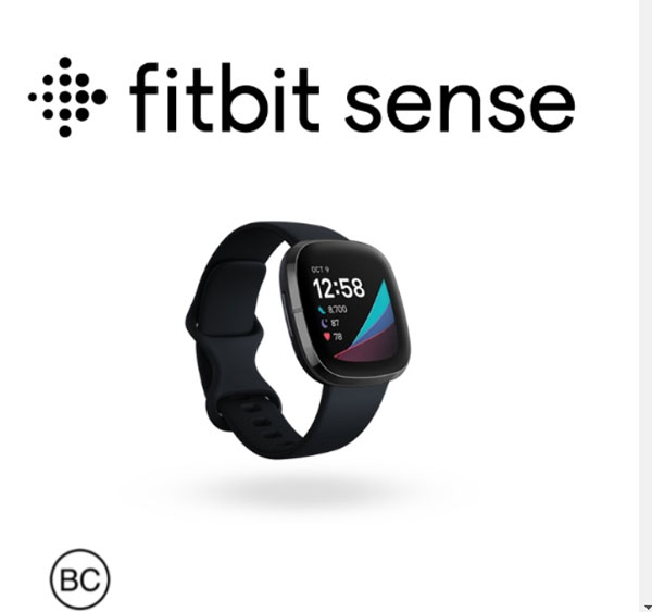 [PDF] Fitbit Sense-Benutzerhandbuch herunterladen